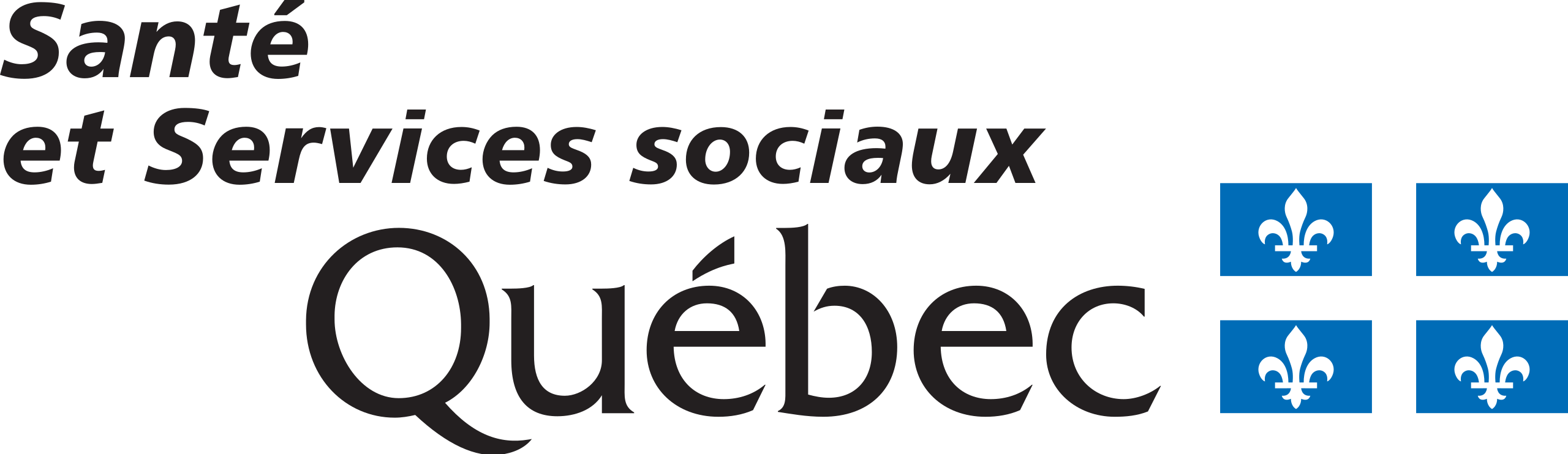 logo - santé et de services sociaux